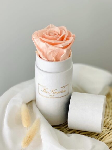 Porcelanowy róż wieczna róża | Mini biały box