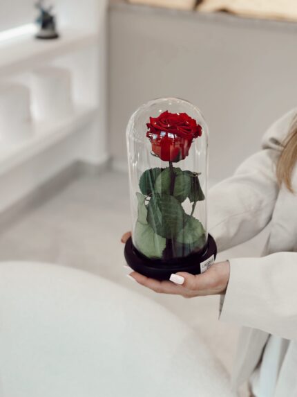 Wieczna czerwona róża | Szklana kopułka