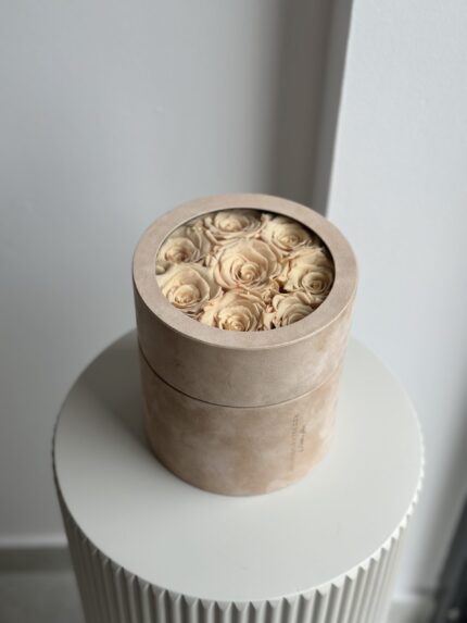 Wieczne róże toffiee | Średni beżowy box