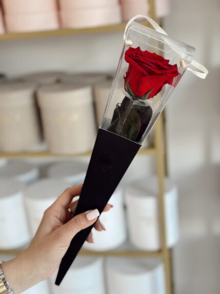 Wieczna róża z łodygą