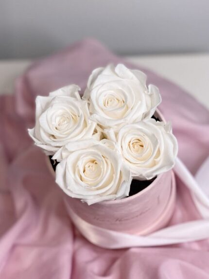 4 Wieczne białe róże | Mały różowy box